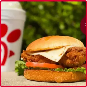 Chick-fil-A Chilled Grilled Chicken Sandwich Tray with fresh grilled chicken sandwiches