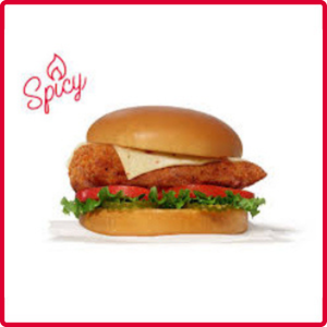 Spicy Chicken Sandwich chick fil a