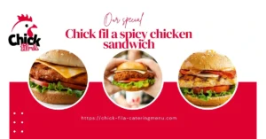 Spicy Chicken Sandwich