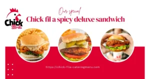 Spicy Deluxe Sandwich