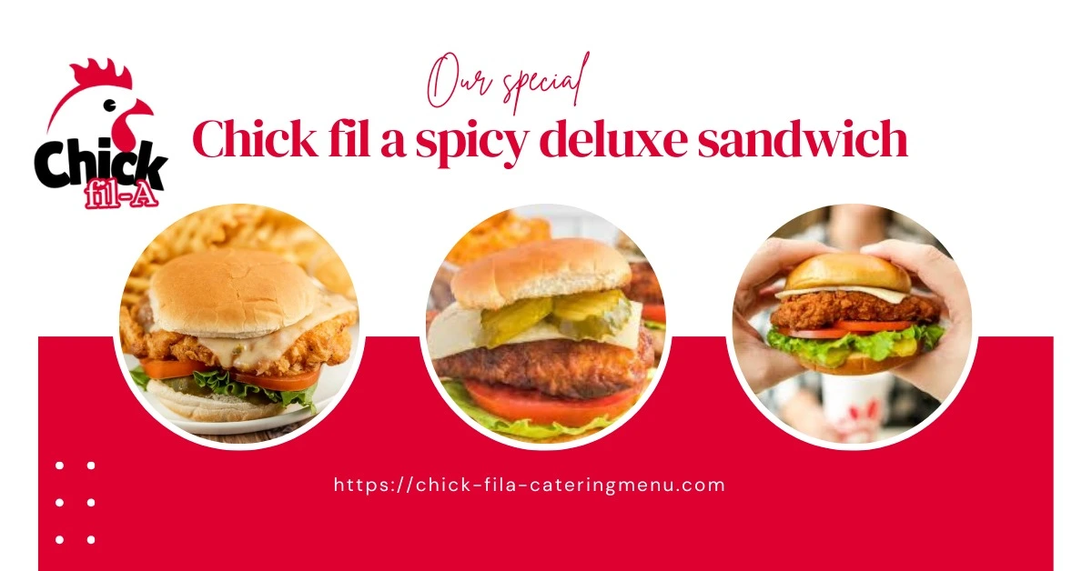 Spicy Deluxe Sandwich