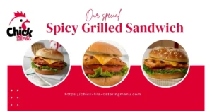 Spicy Grilled Sandwich