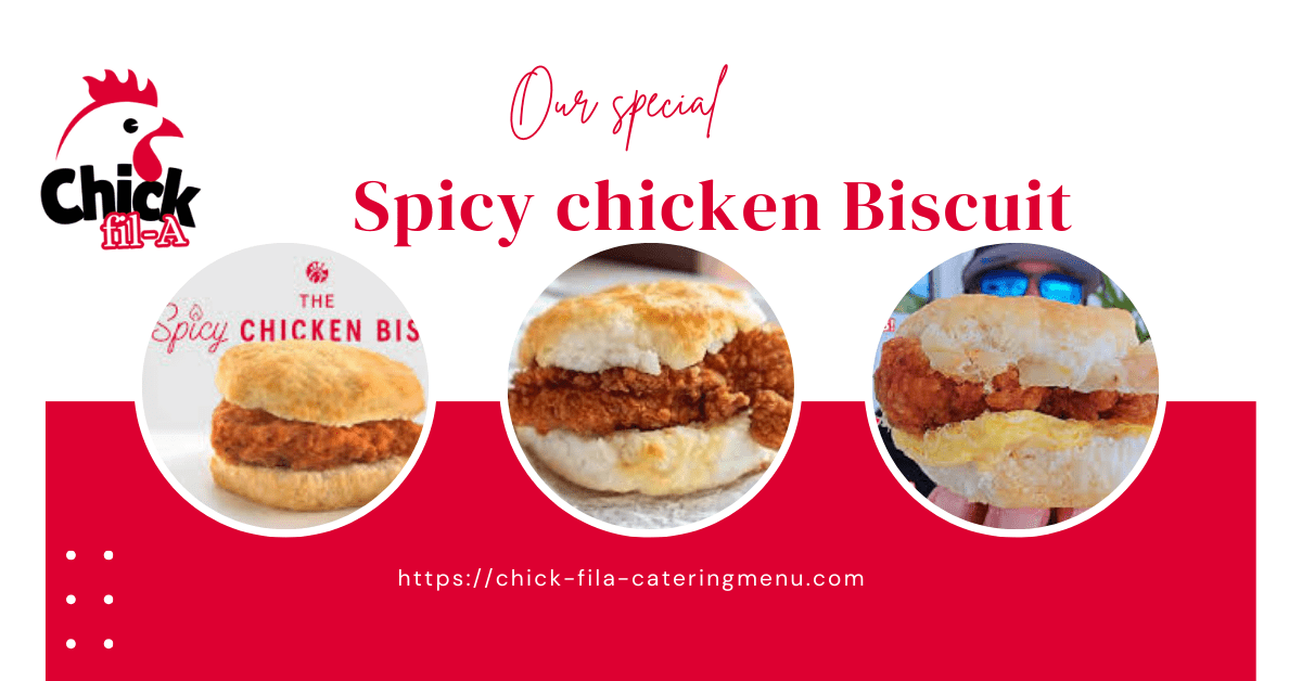 spicy chicken biscuit